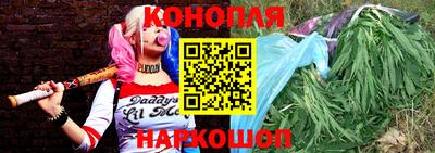 прущие грибы Будённовск