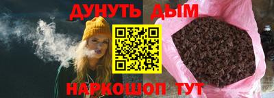 прущие грибы Будённовск