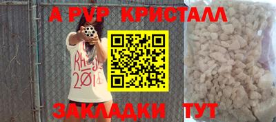 прущие грибы Будённовск