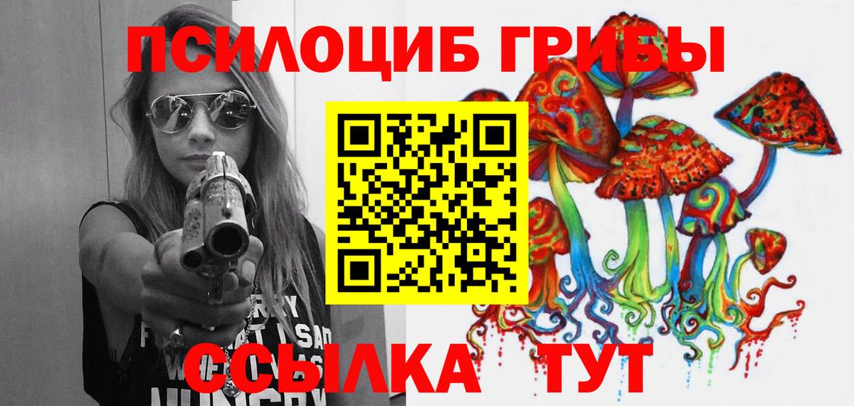 Псилоцибиновые грибы GOLDEN TEACHER  Галлюциногенные грибы GOLDEN TEACHER  Славянск-на-Кубани  Вход с VPN 